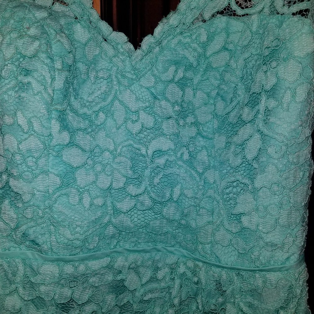 David's Bridal bridesmaid dress